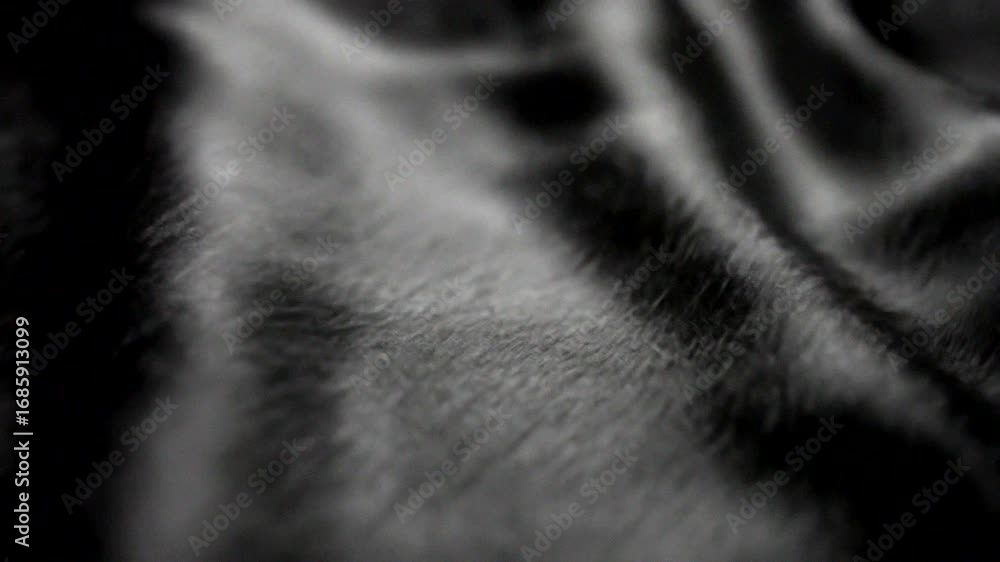 Poster close-up shot of a soft black fabric, highlighting its elegant texture and intricate patterns.