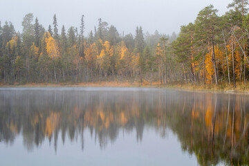 Small forest lake surrounded by fall colored trees in Finnish Lapland, Northern Finland, Europe