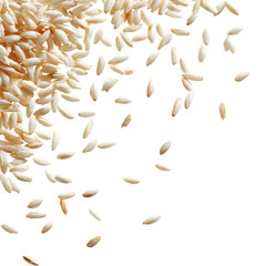 Crispy Rice Grains Texture Background and Culinary Uses isolated on transparent background