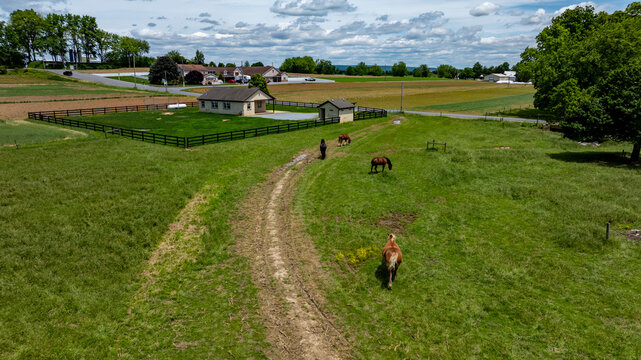 Horses graze peacefully in a lush green field next to a farmhouse. The landscape features a winding dirt road and scattered trees under a cloudy sky, creating a serene rural atmosphere. - Powered by Adobe
