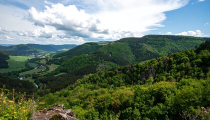 Panoramic View of Lush Green Valley