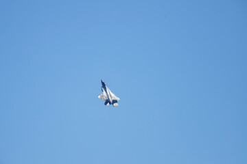 bird in flight  F-22 Raptor