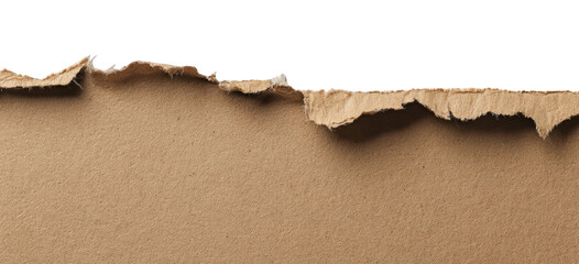 Torn piece of kraft paper
