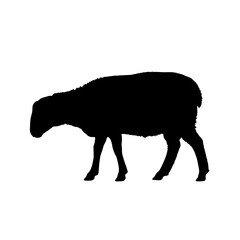 Silhouette of a sheep grazing in a field with digital technologies illustration