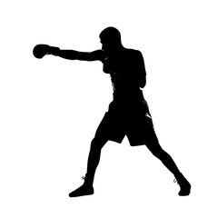 Silhouette of a boxer in action throwing a punch during a sporting event