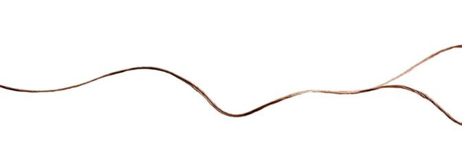 A stylized, pixelated,  brown-toned,  curving line.  It appears to be a single continuous line that branches