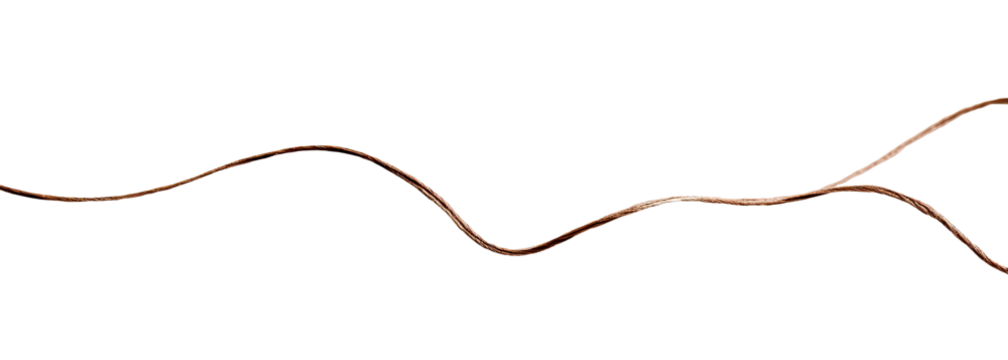 A stylized, pixelated,  brown-toned,  curving line.  It appears to be a single continuous line that branches