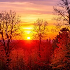 Obraz premium Majestic sunset casts a warm glow over an autumn forest, with bare trees silhouetted against the colorful sky and vibrant foliage creating a serene and picturesque landscape scene .