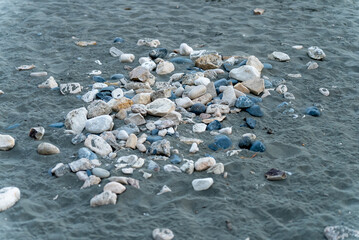 Stones and seashells on the sandy beach of Limassol, Cyprus. Natural texture by the sea.

