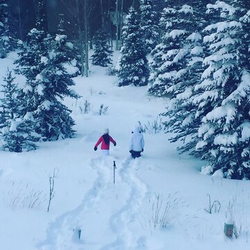 People Walking Through Deep Snow in Winter Forest