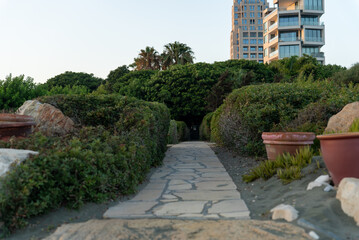 Obraz premium Stone pedestrian path among green bushes and palm trees on the Limassol promenade in Cyprus, with modern buildings in the background. 