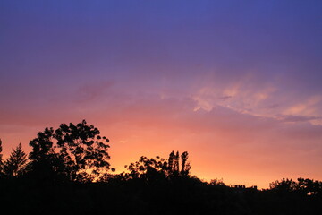 sunset in the forest