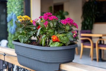 Restaurant patio with flower pots on the fence in summer. Cafe terrace with fresh flowers.