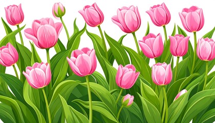 Pink tulips in a garden border