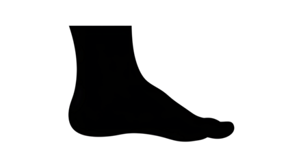 Silhouette of a human foot isolated on transparent background, showcasing the arch, toes, and heel in a simple yet elegant design, perfect for medical or anatomical illustrations