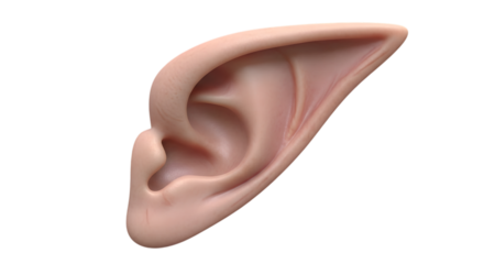 close up of a human skin