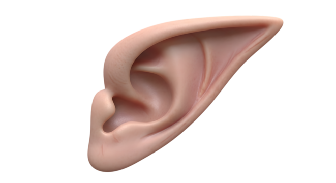 close up of a human skin