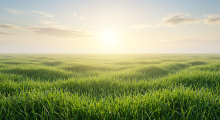 Stunning green field glistens under the morning sun, perfect for springtime, nature, and peace concepts