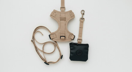 Stylish dog walking set including harness leash and treat pouch for comfortable outdoor adventures