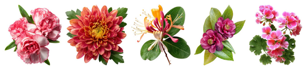 Fototapeta premium Vibrant floral arrangement display