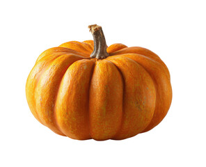 Close-up of a small, round orange pumpkin