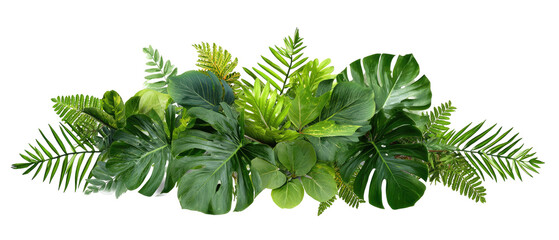 Lush tropical foliage arrangement (3)