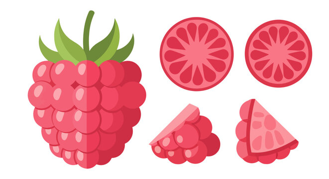 Elegant raspberry illustration, with slices showcasing unique fruit geometry