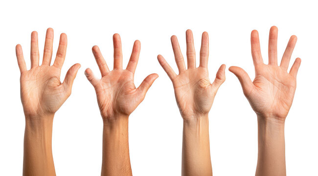 Four hands raised, palms facing forward, in a horizontal row