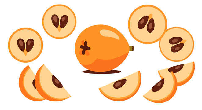 Vibrant loquat fruit slices arrangement displaying unique cut styles on white