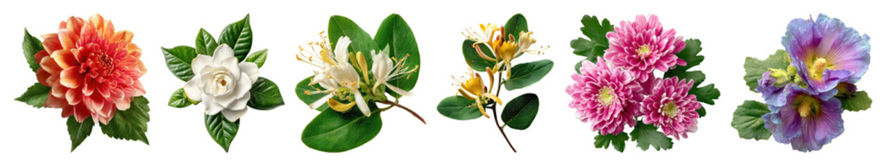 Obraz premium Vibrant floral border design