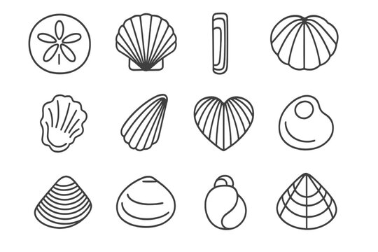 Beach Shell Icons. Line style icons of beach shells: sand dollar shell, cockle shell, razor shell, ark shell; kitten's paw shell,