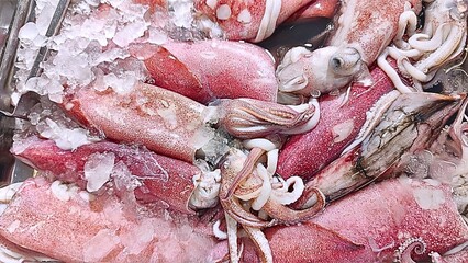 Close-up view of various types of fresh seafood, including squid and octopus, displayed on ice.