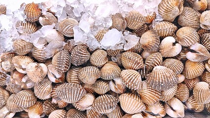 Close-up of fresh cockles on ice at a market.