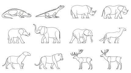 Hand Drawn Sketch Collection of Various Wild Animals.