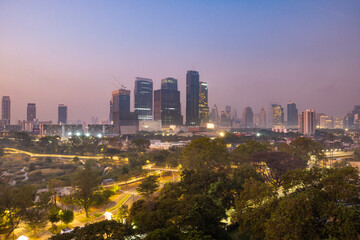 Fototapeta premium Bangkok park and skyline