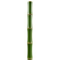 Fototapeta premium Tall bamboo stem isolated