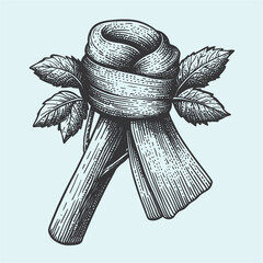 Vintage Style Illustration of a Herb Bundle with Leaves and Ribbon Tying