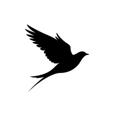 Fototapeta premium A silhouette of a swallow in mid-flight, with its wings spread wide and its long tail feathers trailing behind.