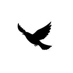 Fototapeta premium A silhouette of a bird in flight, with its wings spread wide against a white background.