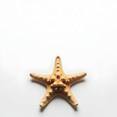 Isolated Starfish on White Background Top View