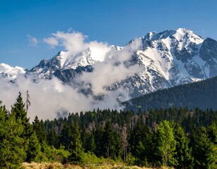 Fototapeta premium Snowy mountain range with clouds and forest