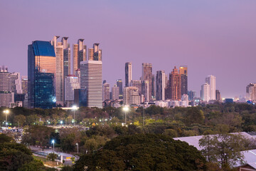 Bangkok park and skyline
