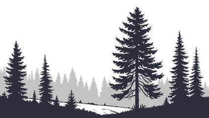 Fototapeta premium Silhouette of Evergreen Trees in Forest Landscape Nature Illustration Winter Scene Conifer Trees Graphic Design Element.