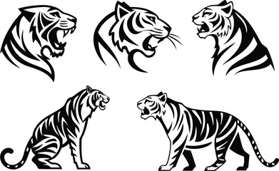 Majestic Tiger Illustrations Showcase Feline Beauty and Power in Striking Black and White Designs