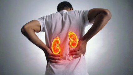 Man holding lower back in pain with a digital illustration of glowing kidneys, symbolizing kidney disease, back pain, urinary problems, renal health issues, medical diagnosis, and healthcare awareness
