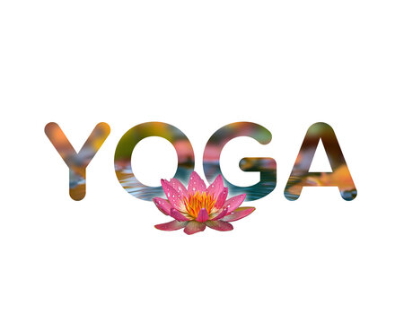 Yoga text effect with lotus flower and water reflection