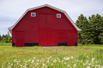 A large, vibrant, red wooden barn with two small windows. There's a green, grassy meadow in front...