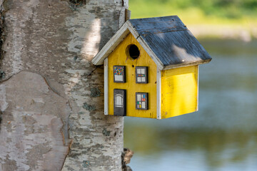 A decorative bright yellow single hole birdhouse attached to a tree. The bird house has small decorative windows and painted doors. The roof is peaked and there's a hole in the top of the empty house.