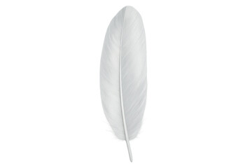 Realistic white feather falling with transparent background