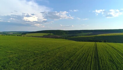 Obraz premium Expansive green fields stretch across rolling hills under a partly cloudy sky, showcasing a serene and peaceful rural landscape.